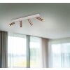 Ambala Spot de plafond Luminaires Trio LED Brun, 4 lumières