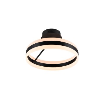 Dios Plafonnier Luminaires Trio LED Noir, 1 lumière