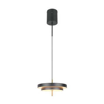 KEATON Suspension Luminaires Trio LED Noir doré, 1 lumière