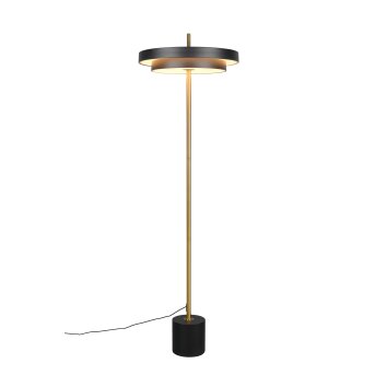 KEATON Lampadaire Luminaires Trio LED Noir doré, 1 lumière