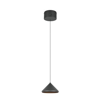 Laguna Suspension Luminaires Trio LED Noir, 1 lumière
