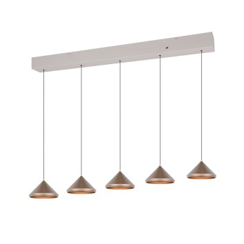 Laguna Suspension Luminaires Trio LED Brun, 5 lumières