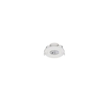 Lamont Spot encastrable Luminaires Trio LED Blanc, 1 lumière