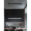 Wallace Suspension Luminaires Trio LED Nickel mat, 1 lumière
