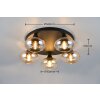 Divina Plafonnier Luminaires Reality Noir, 5 lumières