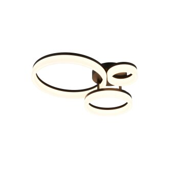 Scope Plafonnier Luminaires Reality LED Noir, 1 lumière