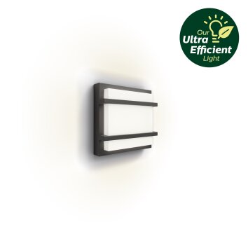 Petronia Lampe murale d´extérieur Luminaires Philips LED Anthracite, 1 lumière
