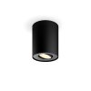 Pillar Plafonnier Luminaires Philips Noir, 1 lumière