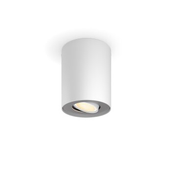 Pillar Plafonnier Luminaires Philips Blanc, 1 lumière