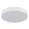 Nielsen Plafonnier Luminaires Globo Lighting LED Blanc, 1 lumière