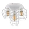 Nesa Plafonnier Luminaires Globo Lighting Blanc, 3 lumières