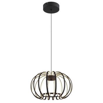 Ribbon Suspension Luminaires Globo Lighting LED Noir, 1 lumière