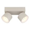 Rae Plafonnier Luminaires Globo Lighting LED Sable, 2 lumières
