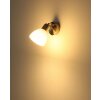Malte Applique murale, Spot mural Luminaires Globo Lighting Nickel mat, 1 lumière