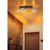 Alonso Plafonnier Luminaires Globo Lighting Noir, 3 lumières