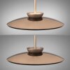 Moon Suspension Luminaires Paul Neuhaus LED Bronze, 4 lumières