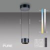Clipse Suspension Luminaires Paul Neuhaus LED Gris, 2 lumières, Télécommandes
