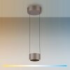 Clipse Suspension Luminaires Paul Neuhaus LED Bronze, 2 lumières, Télécommandes