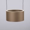 Clipse Suspension Luminaires Paul Neuhaus LED Bronze, 2 lumières, Télécommandes