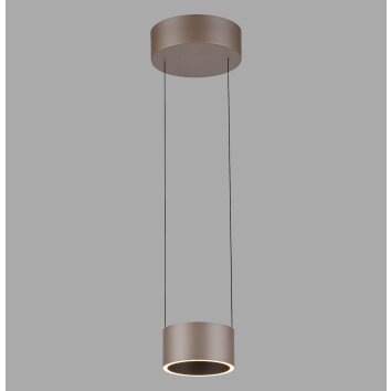 Clipse Suspension Luminaires Paul Neuhaus LED Bronze, 2 lumières, Télécommandes