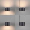 Clipse Suspension Luminaires Paul Neuhaus LED Gris, 6 lumières, Télécommandes