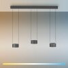 Clipse Suspension Luminaires Paul Neuhaus LED Gris, 6 lumières, Télécommandes