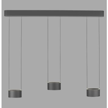 Clipse Suspension Luminaires Paul Neuhaus LED Gris, 6 lumières, Télécommandes
