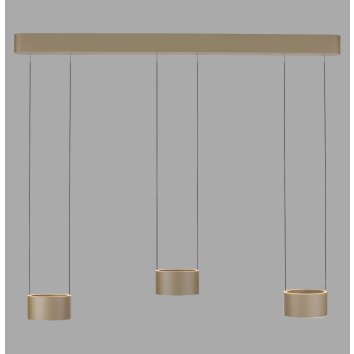Clipse Suspension Luminaires Paul Neuhaus LED Bronze, 6 lumières, Télécommandes