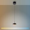 Rings Suspension Luminaires Paul Neuhaus LED Noir, Transparent, 1 lumière, Télécommandes