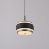 Rings Suspension Luminaires Paul Neuhaus LED Noir, Transparent, 1 lumière, Télécommandes