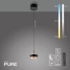 Rings Suspension Luminaires Paul Neuhaus LED Noir, Transparent, 1 lumière, Télécommandes