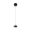 Rings Suspension Luminaires Paul Neuhaus LED Noir, Transparent, 1 lumière, Télécommandes