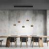 Rings Suspension Luminaires Paul Neuhaus LED Noir, Transparent, 5 lumières, Télécommandes