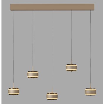Rings Suspension Luminaires Paul Neuhaus LED Bronze, Chrome, 5 lumières, Télécommandes