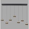 Rings Suspension Luminaires Paul Neuhaus LED Noir, Transparent, 7 lumières, Télécommandes