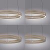 E-Loop Suspension Luminaires Paul Neuhaus LED Bronze, 2 lumières, Télécommandes