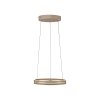 E-Loop Suspension Luminaires Paul Neuhaus LED Bronze, 2 lumières, Télécommandes