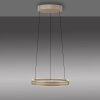 E-Loop Suspension Luminaires Paul Neuhaus LED Bronze, 2 lumières, Télécommandes