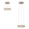 E-Loop Suspension Luminaires Paul Neuhaus LED Bronze, 2 lumières, Télécommandes