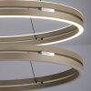 E-Loop Suspension Luminaires Paul Neuhaus LED Bronze, 2 lumières, Télécommandes