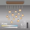 Popup Suspension Luminaires Paul Neuhaus LED Bronze, 13 lumières, Télécommandes