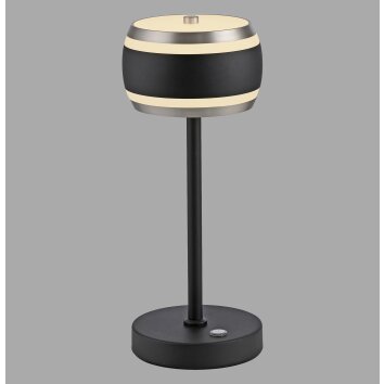 Rings Lampe à poser Luminaires Paul Neuhaus LED Noir, Transparent, 1 lumière