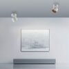 Cup Plafonnier Luminaires Paul Neuhaus LED Blanc, 1 lumière