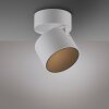 Cup Plafonnier Luminaires Paul Neuhaus LED Blanc, 1 lumière