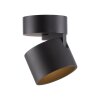 Cup Plafonnier Luminaires Paul Neuhaus LED Noir, 1 lumière