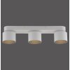 Cup Plafonnier Luminaires Paul Neuhaus LED Blanc, 3 lumières