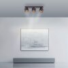 Cup Plafonnier Luminaires Paul Neuhaus LED Noir, 3 lumières
