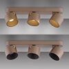 Cup Plafonnier Luminaires Paul Neuhaus LED Bronze, 3 lumières