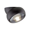 Move Plafonnier Luminaires Paul Neuhaus LED Noir, 1 lumière