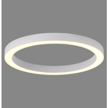 Round Plafonnier Luminaires Paul Neuhaus LED Blanc, 1 lumière, Télécommandes